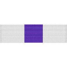 Nevada National Guard Base Honor Guard Ribbon